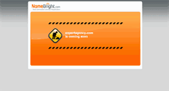Desktop Screenshot of expertagency.com