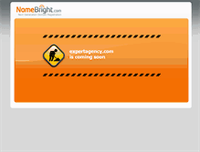 Tablet Screenshot of expertagency.com